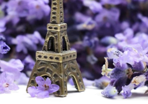 Finding an Online Private French Tutor